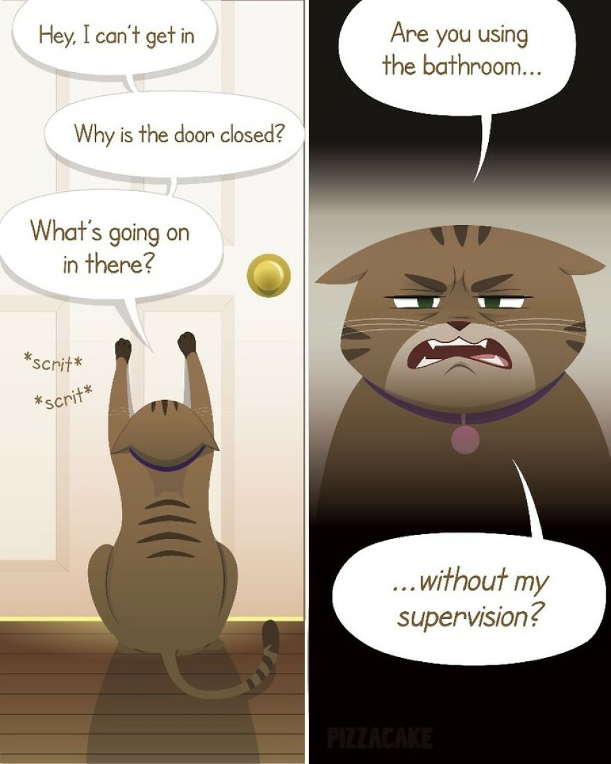 Artist Illustrates In A Fun Way Everyday Life With Her Family And An Adorable Adopted Cat