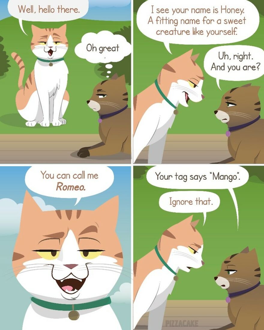 Artist Illustrates In A Fun Way Everyday Life With Her Family And An Adorable Adopted Cat