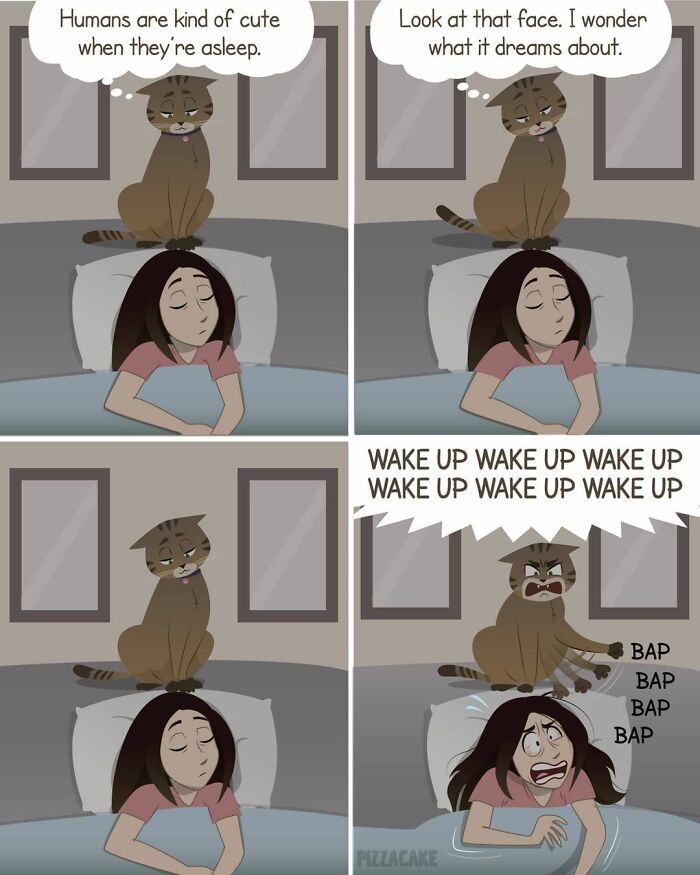 Comic showing family life with a feisty cat waking a sleeping woman by banging on her head repeatedly.