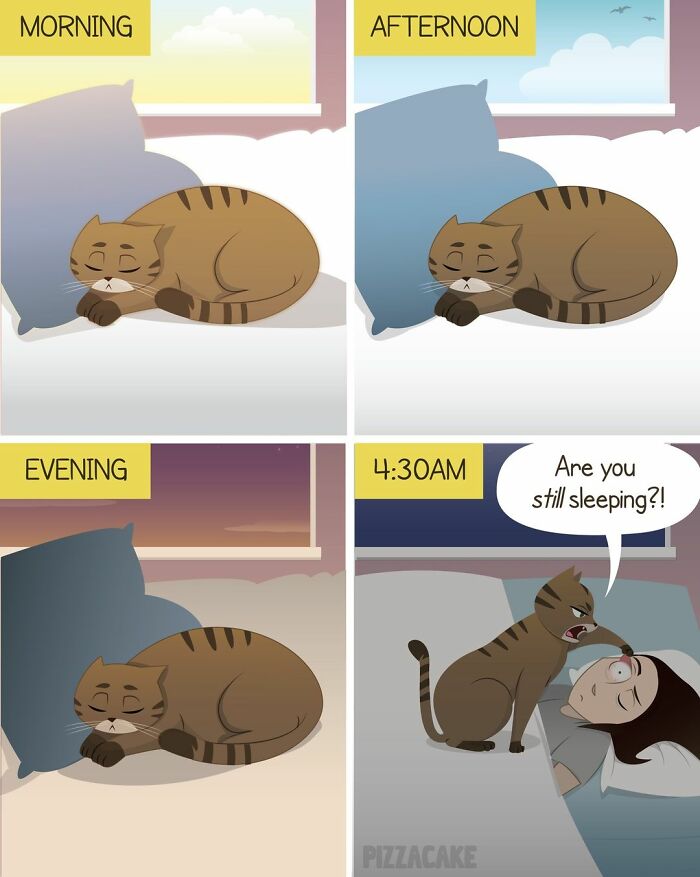 Comic panels showing a feisty cat disrupting family life by waking its owner early despite sleeping peacefully all day.