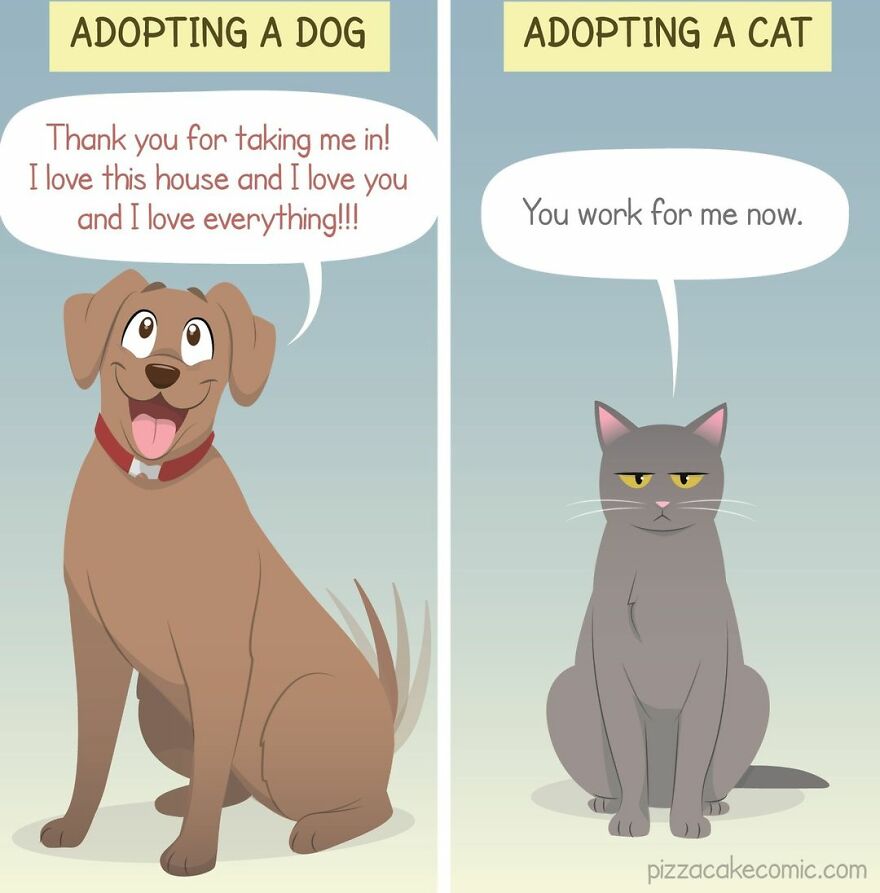 Artist Illustrates In A Fun Way Everyday Life With Her Family And An Adorable Adopted Cat