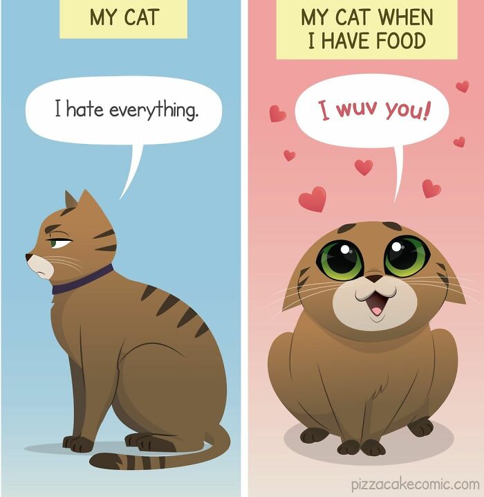 Comic showing a feisty cat’s attitude change in family life, from annoyed to loving when food is present.