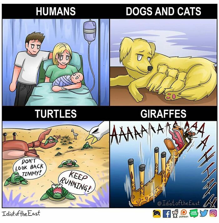 Artist Promises To Amuse You With His Stupid Comics