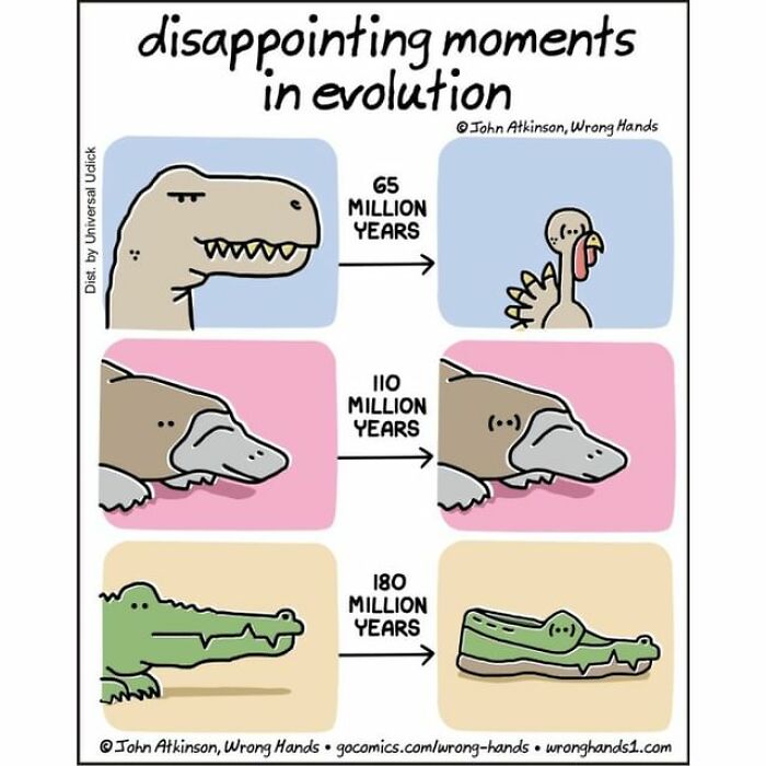 Artist Tells The Story Of The World In A Unique Way