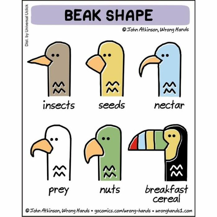 Artist Tells The Story Of The World In A Unique Way