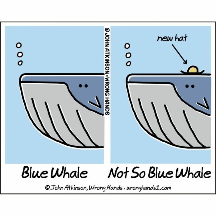 Artist Tells The Story Of The World In A Unique Way