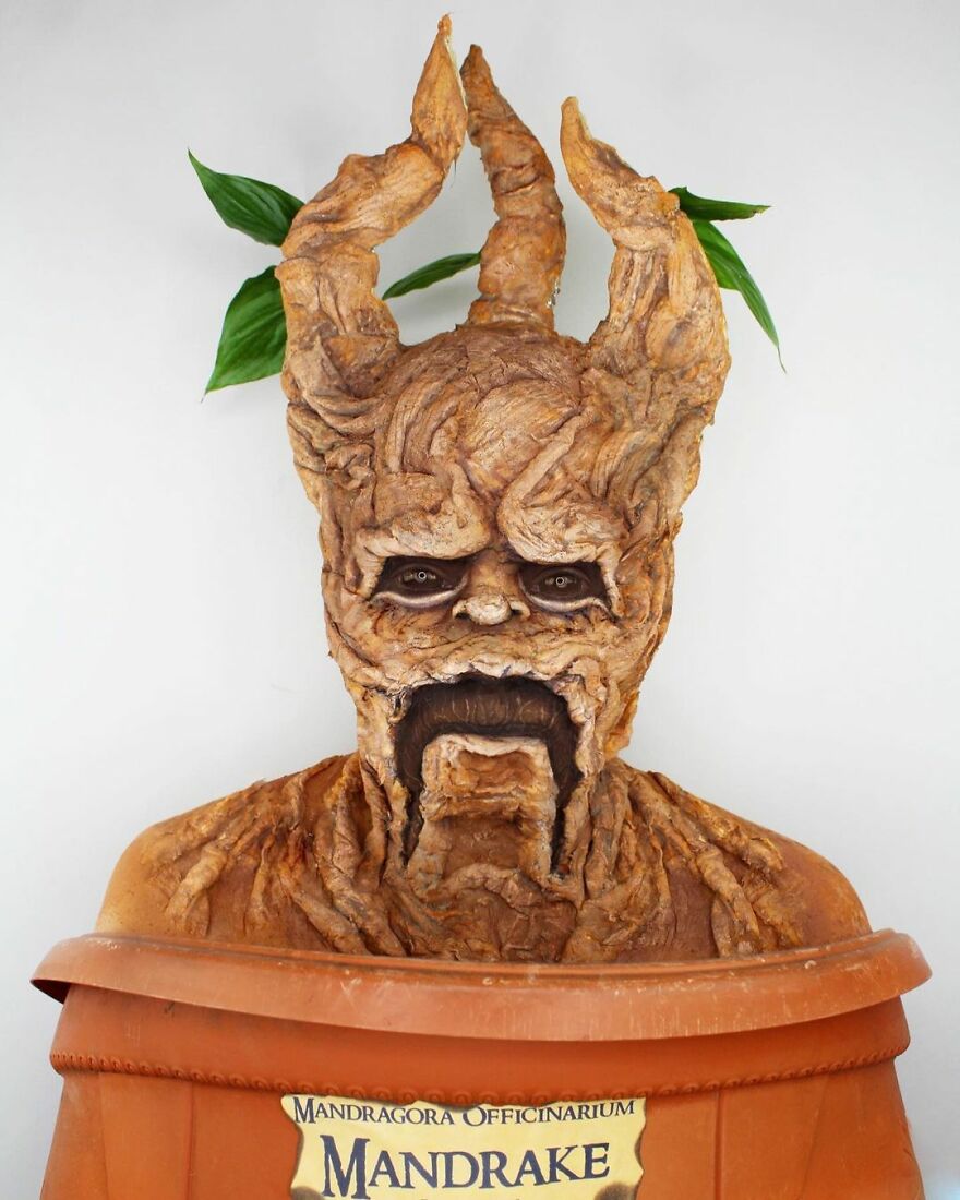 Mandrake