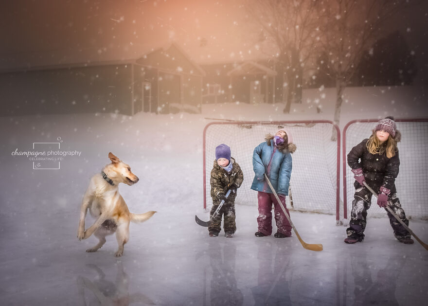 My Dog & Me My Dog & Me