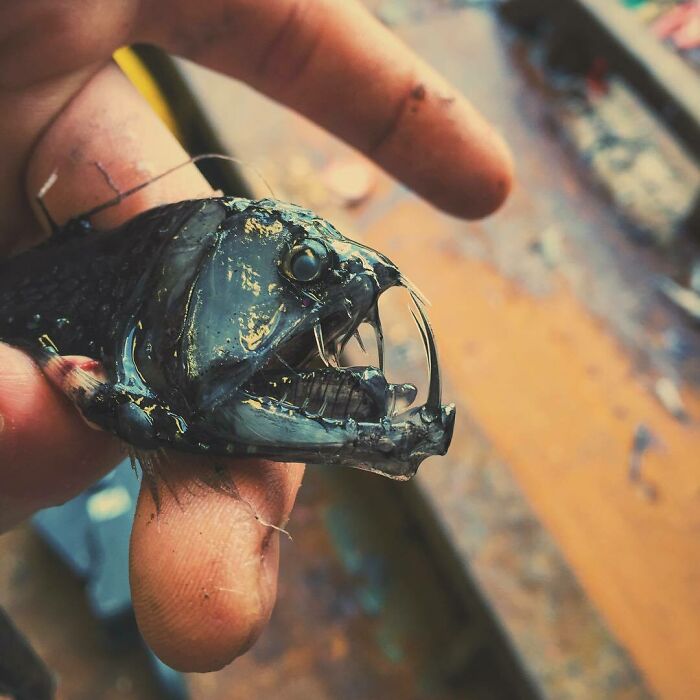 "The Gifts Of The Sea"