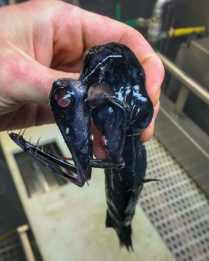 "The Right Angle Is The Most Important"