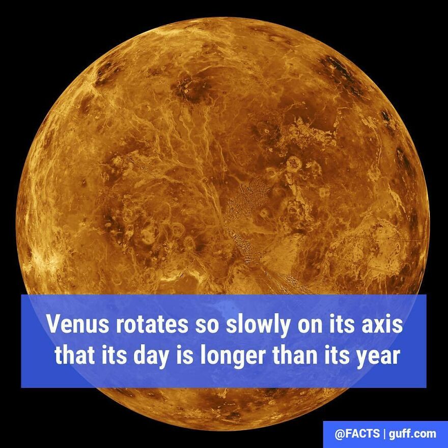 And You Thought *you* Had A Long Day!?