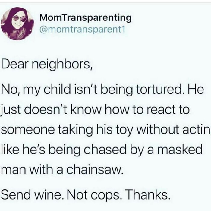 Funny marriage and parenting post from the Marriage and Martinis IG page about a child's toy and chaotic neighbor reactions.