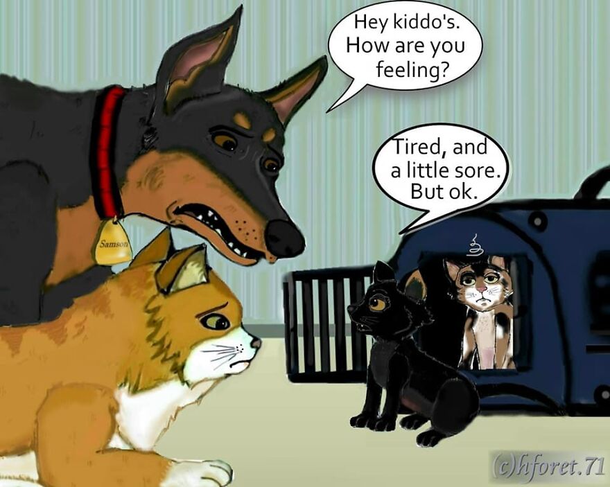 "Back From The Vet..."