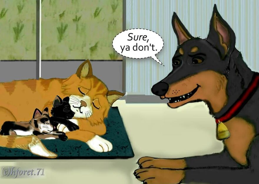 "Back From The Vet..."