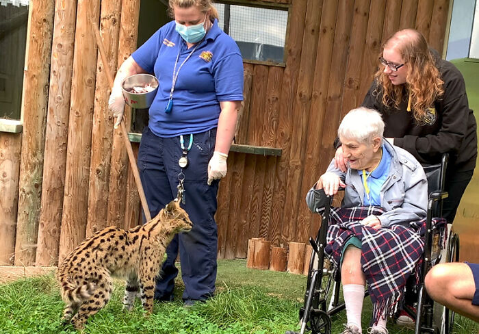 This 100-Year-Old Woman Had A Lifelong Ambition To Meet A Serval Cat And Her Dream Came True