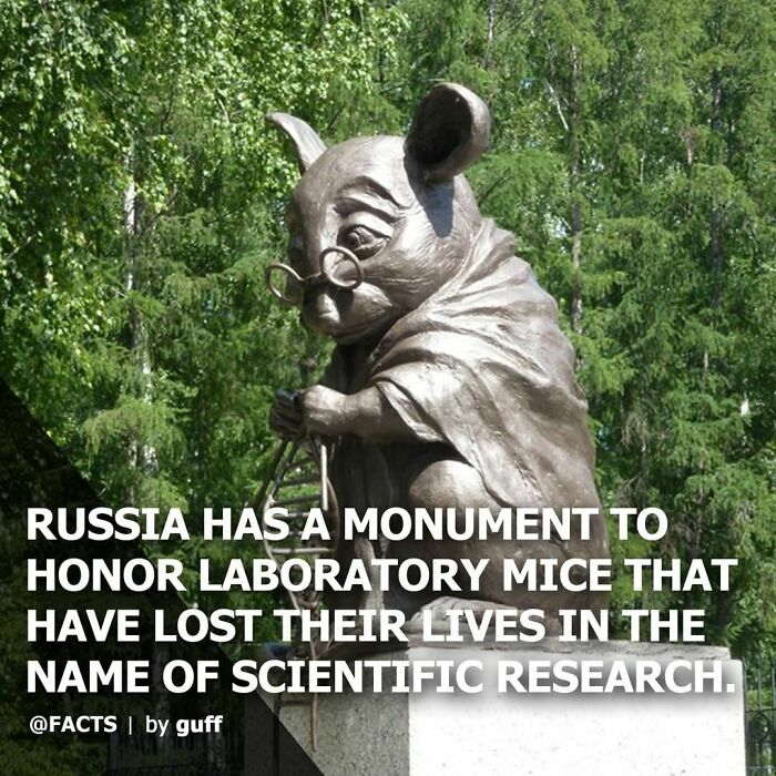 Monument in Russia honoring laboratory mice that died for scientific research, highlighting interesting facts about our world.