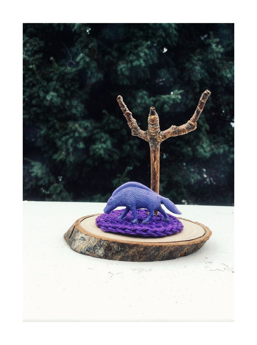 Bonus - Wooden Slice Series #1