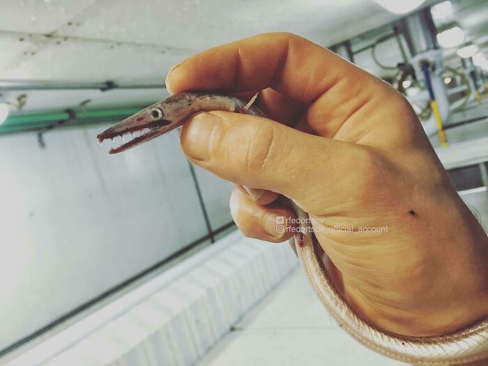 "Yeah, Dragons Aren't The Same"