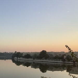 thecartoonist avatar