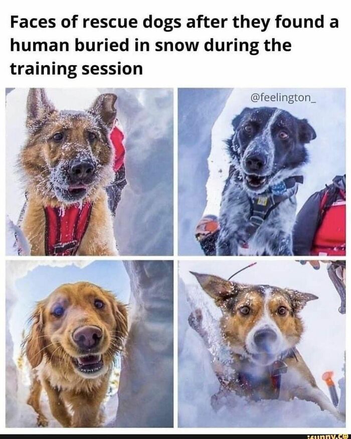 Humans-Of-Tumblr-Funny-Posts