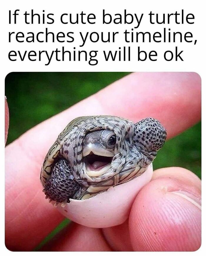 Humans-Of-Tumblr-Funny-Posts