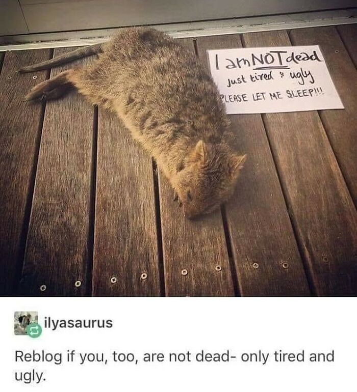 Humans-Of-Tumblr-Funny-Posts