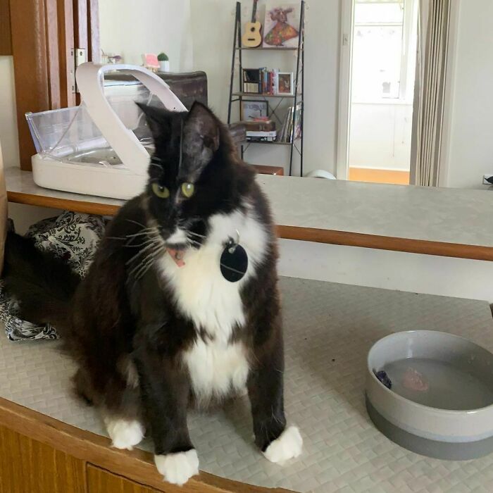 Tried To Take A Panorama Shot Of Groucho. The Results Were Terrifying