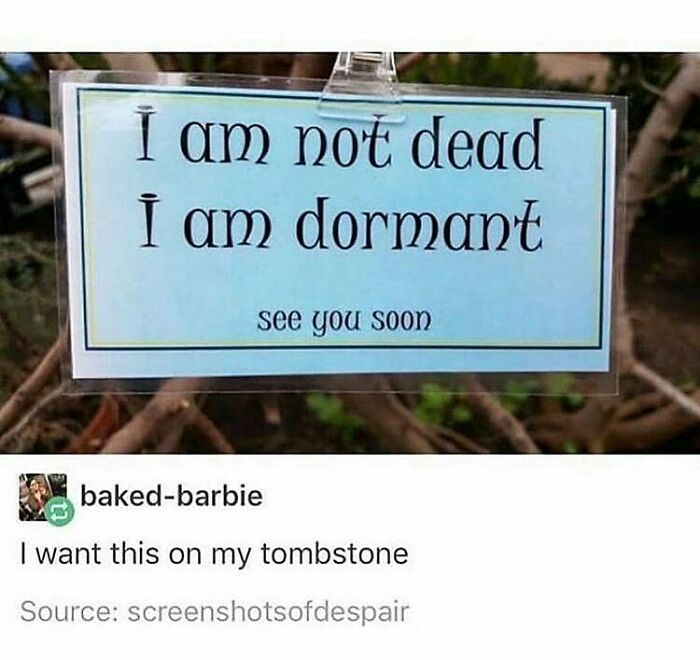 Humans-Of-Tumblr-Funny-Posts