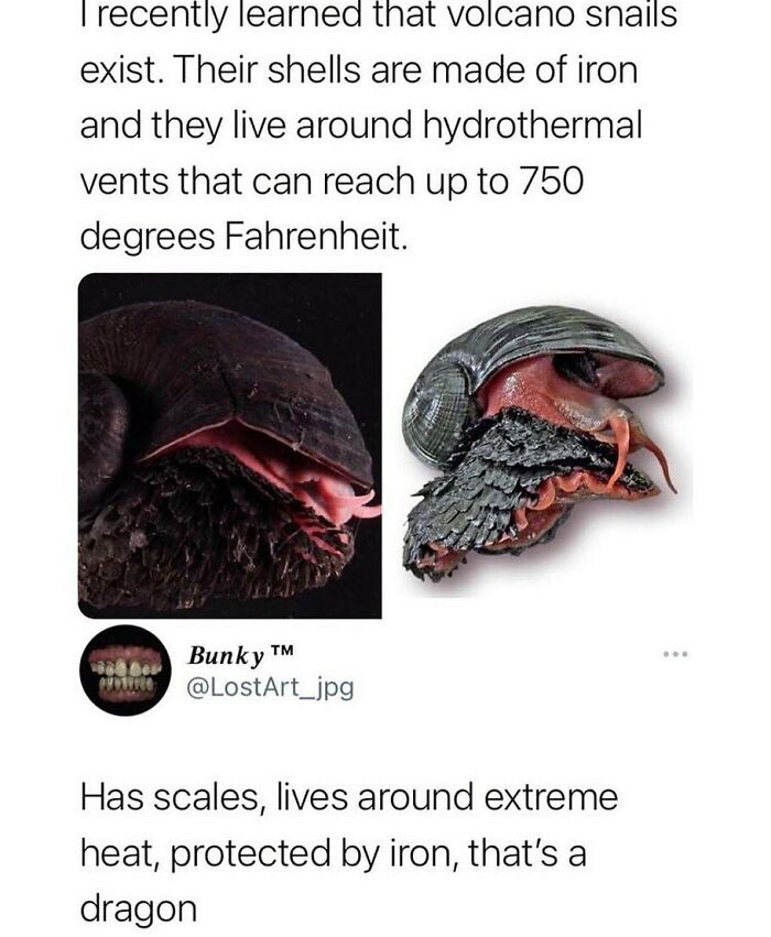 Humans-Of-Tumblr-Funny-Posts