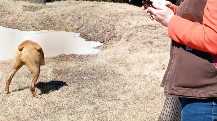 It Was Not Widely Known, But Bo Was Also Able To Manipulate Space/Time