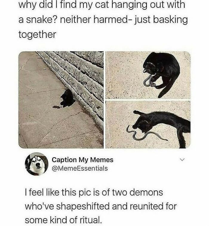 Humans-Of-Tumblr-Funny-Posts