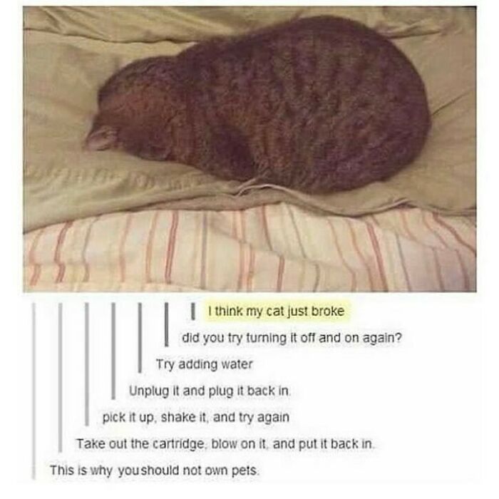 Humans-Of-Tumblr-Funny-Posts