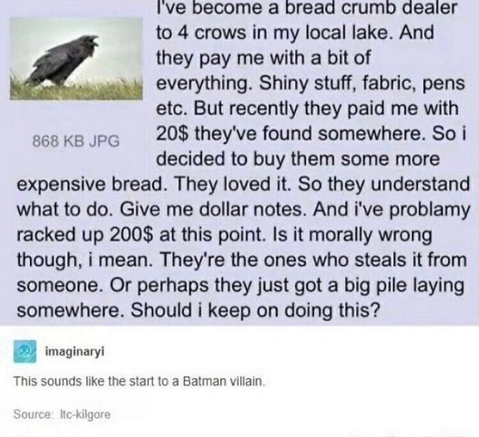 Humans-Of-Tumblr-Funny-Posts