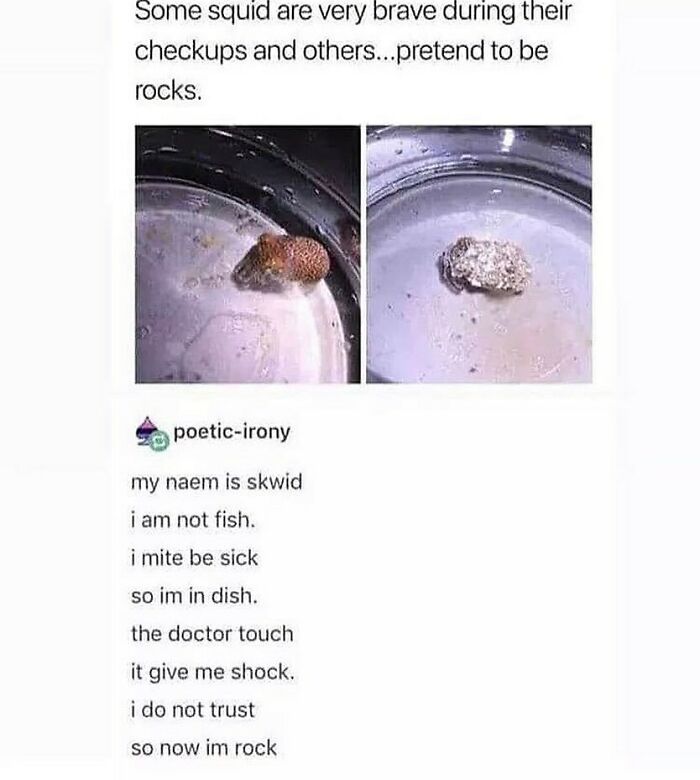 Humans-Of-Tumblr-Funny-Posts