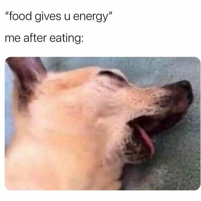 Sarcastic-Relatable-Memes