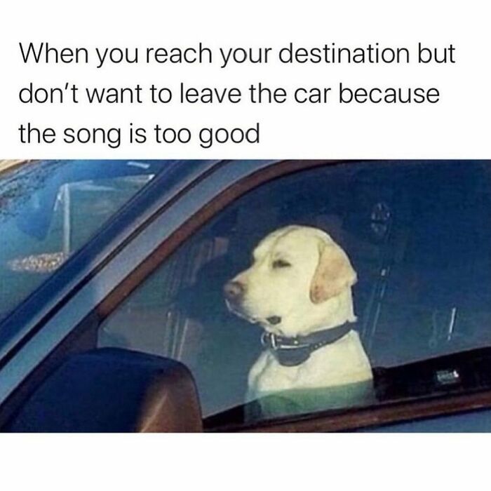 Sarcastic-Relatable-Memes