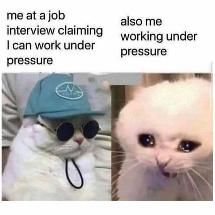 Sarcastic-Relatable-Memes