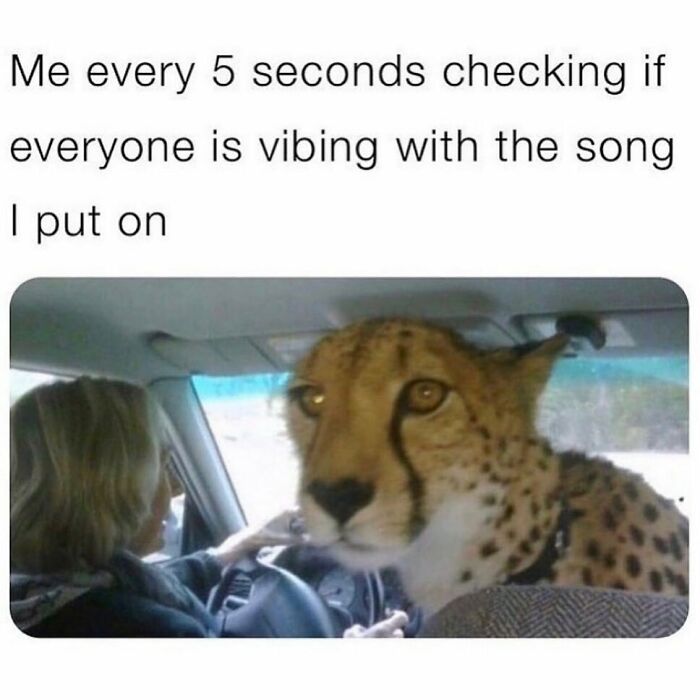 Sarcastic-Relatable-Memes