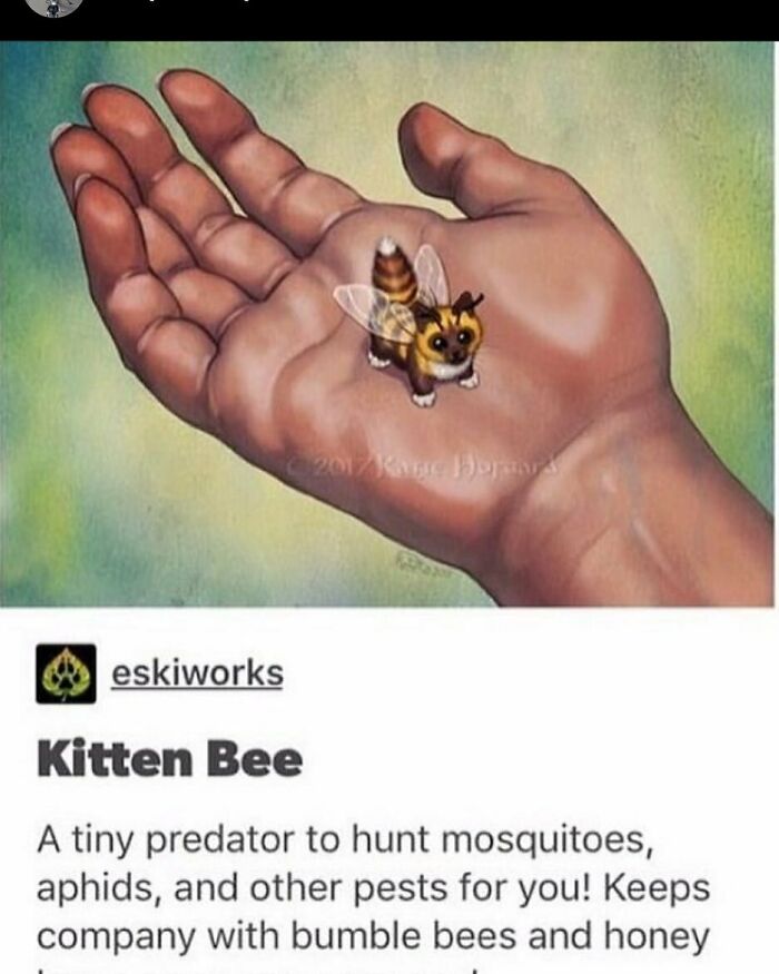 Humans-Of-Tumblr-Funny-Posts