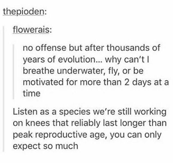Humans-Of-Tumblr-Funny-Posts