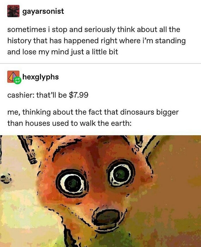 Humans-Of-Tumblr-Funny-Posts