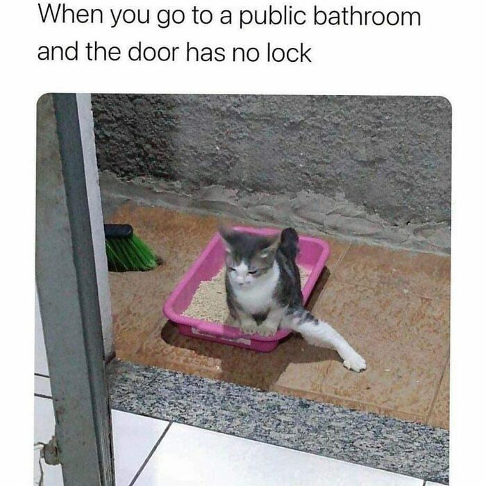 Sarcastic-Relatable-Memes