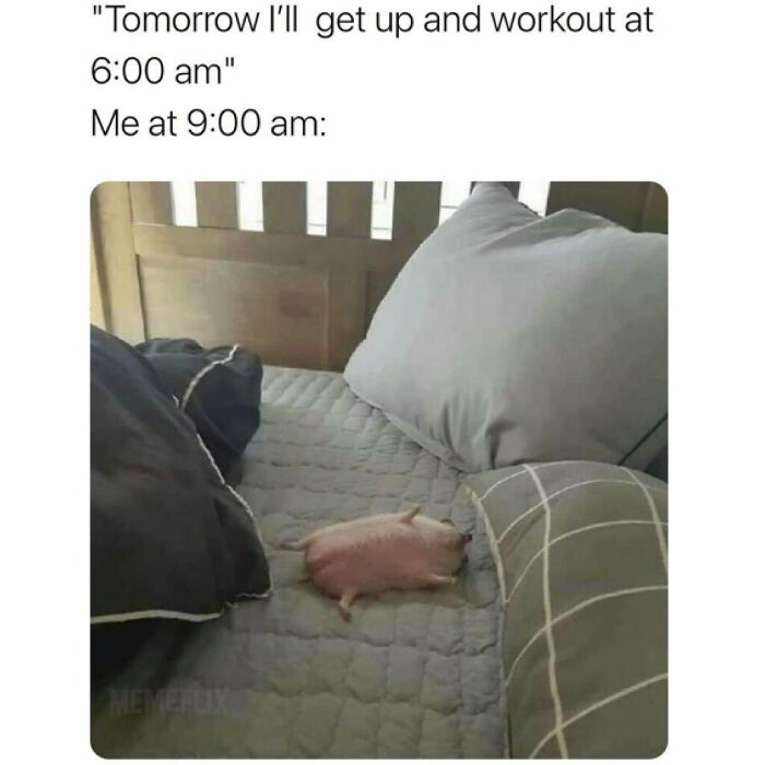 Sarcastic-Relatable-Memes