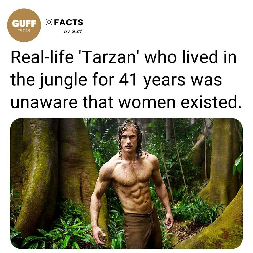 🌴 Ho Van Lang Returned To Civilization In 2013 After He Spent His Entire Life In The Dense Vietnamese Jungle With His Father, Ho Van Than.⁠
lang And Than First Retreated To The Jungle In 1972 After A Us Bomb Killed Half Their Family During The Vietnam War. They Spent 41 Years Farming Corn, Surviving Off Plants And Wild Animals, And Living In A Timber Hut Five Meters Off The Ground. According To A Friend, Explorer Alvaro Cerezo, Than Had A Profound Phobia Of Leaving The Jungle "As He Did Not Believe The Vietnam War Was Over," First Post Reported.⁠
⁠
when Father And Son Did Emerge From The Jungle Eight Years Ago, They Were Wearing Loincloths Made Of Tree Bark And Had Made Little Human Contact.⁠
lang, Who Was Two Years Old When His Father Fled To The Jungle, Only Knew A Few Words Of The Local Cor Language. He Was Also Unaware That Women Existed, Cerezo Said.⁠
⁠
_____⁠
⁠
source: Link In Our Bio. 🔗