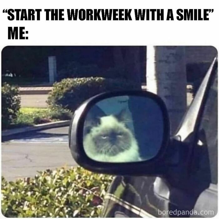 Funny-Workplace-Memes