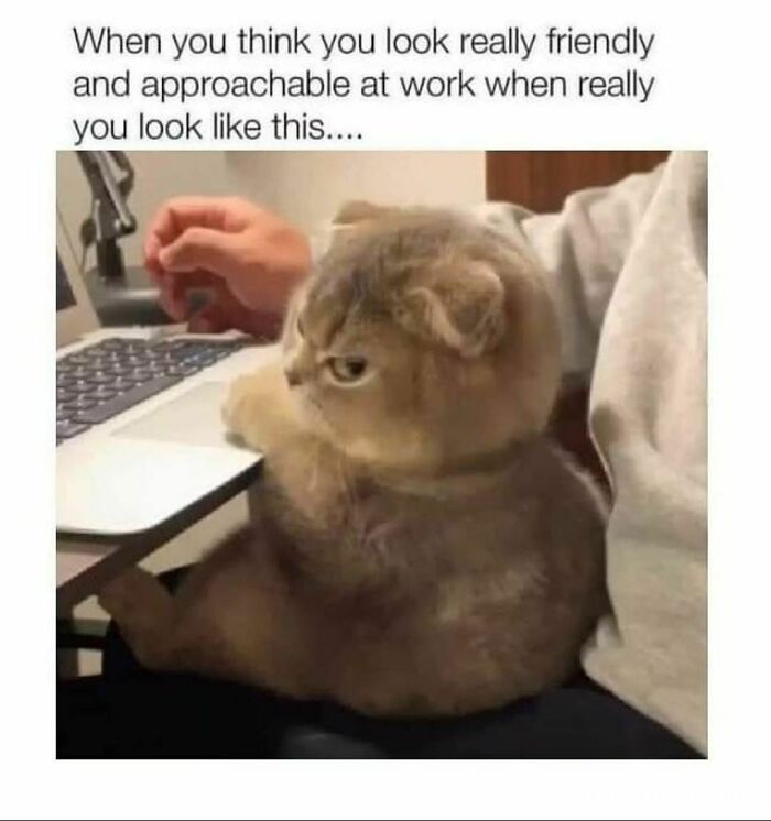 Funny-Workplace-Memes