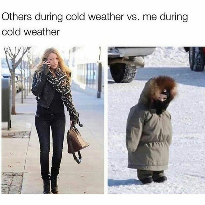 Sarcastic-Relatable-Memes