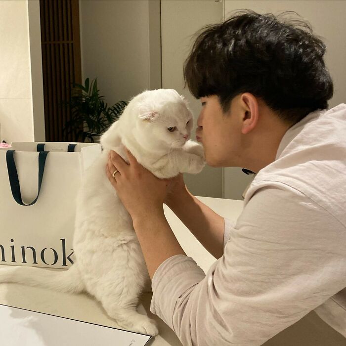 Cat Refuses Owner’s Attempts At Cuddling, And It Has Gone Viral On The Internet Cat Refuses Owner’s Attempts At Cuddling, And It Has Gone Viral On The Internet