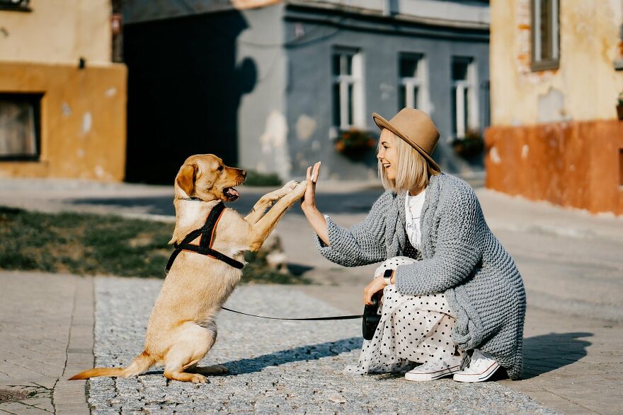 Connecting Peoples With Dogs And Cats