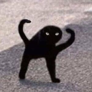 tesslathecorgi avatar